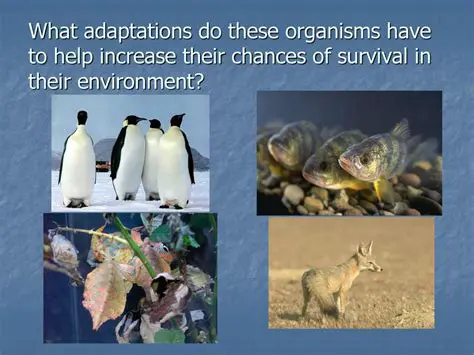 Increase their chances of survival