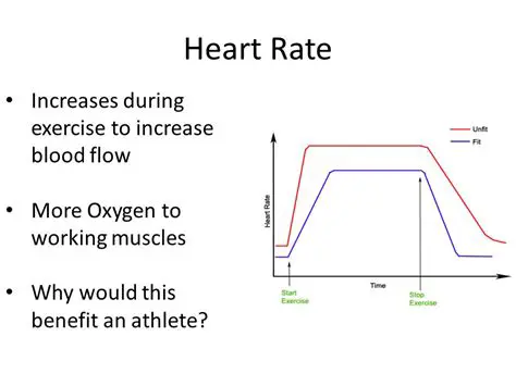 Increased heart rate and breathing rate