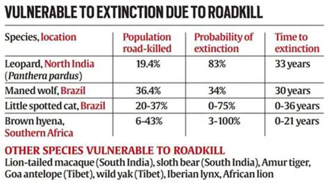 Increased risk of extinction