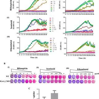 Increased susceptibility to antibiotics