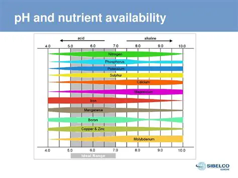 Increases nutrient availability