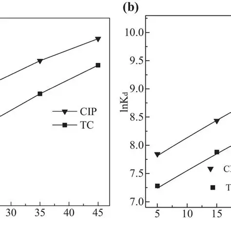 Increasing Adsorption Capacity with the Addition of CMC