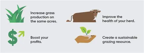 Increasing Grass Production