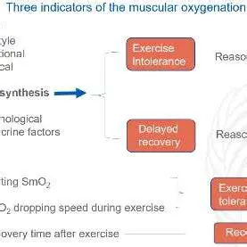 Increasing Muscle Oxygenation
