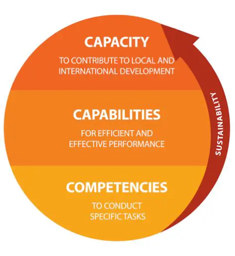Increasing the Capacity and Competency of Tax Officers