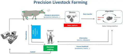 Increasing the Production and Quality of Livestock