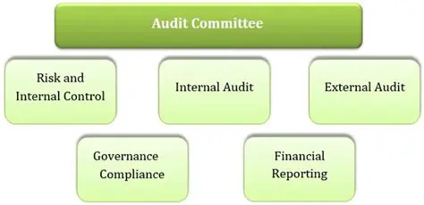 Independent Commissioner and Audit Committee