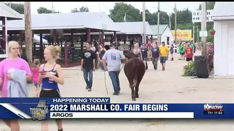 Ink Free News Marshall County Indiana Today Mugshots: Your Essential Guide