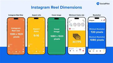 אינסטגרם: המדריך המלא להצלחה בפלטפורמת התמונות המובילה