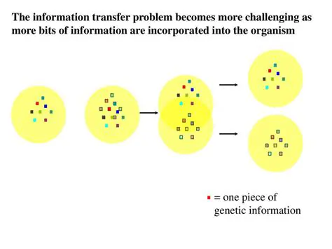 Instructions on Reproducing the Problem