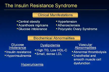Insulin Resistance Syndrome