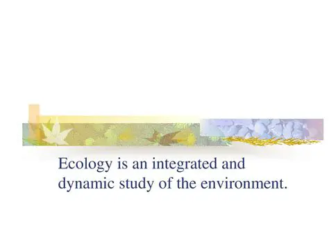 Integrated Study Environment