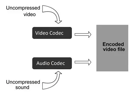 Integrated Video and Audio Codecs