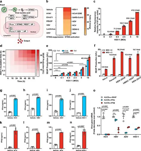 Intelligent Virus Scan Algorithm