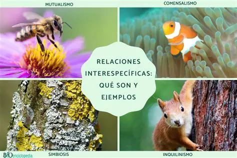 Interacciones y relaciones entre los seres vivos