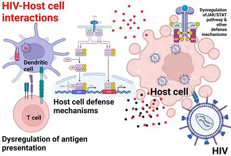 Interaction with host cells