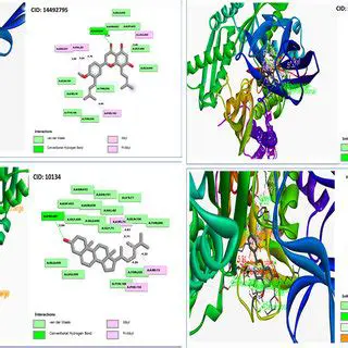 Interactions between the Compounds