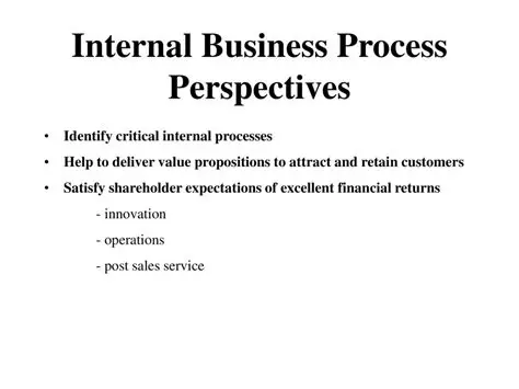 Internal Business Perspectives