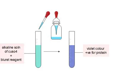 Interpreting Color Changes in Protein Detection