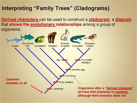 Interpreting the Cladogram