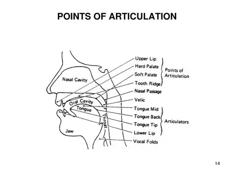 Introduction of articulation points