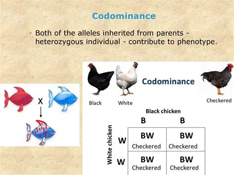 Introduction to Codominance