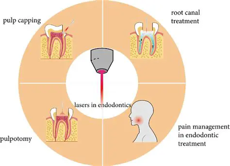Introduction to Endodontic Treatments and the Importance of Endodontic Sealers