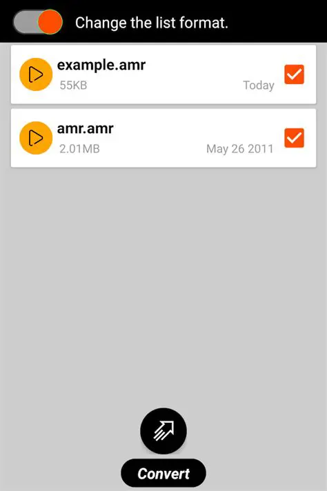 Introduction to Free AMR Converter