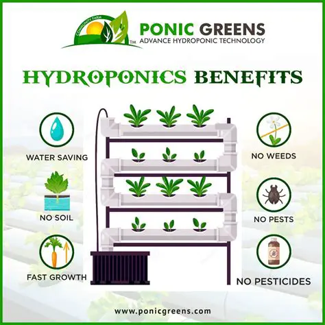 Introduction to Hydroponic Agriculture