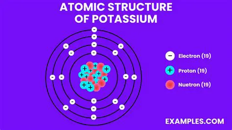 Introduction to Potassium and Atomic Structure
