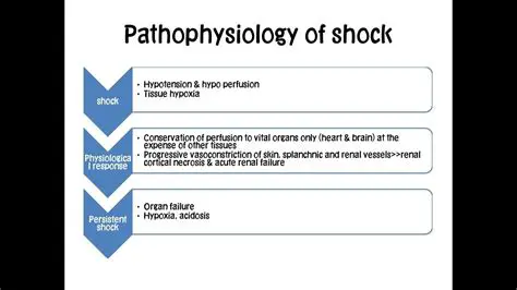 Introduction to Shock Sticker