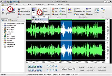 Introduction to Sound Editor Deluxe