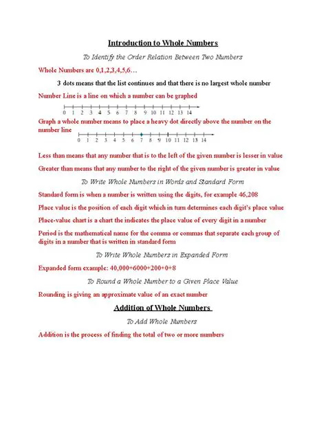 Introduction to Whole Numbers