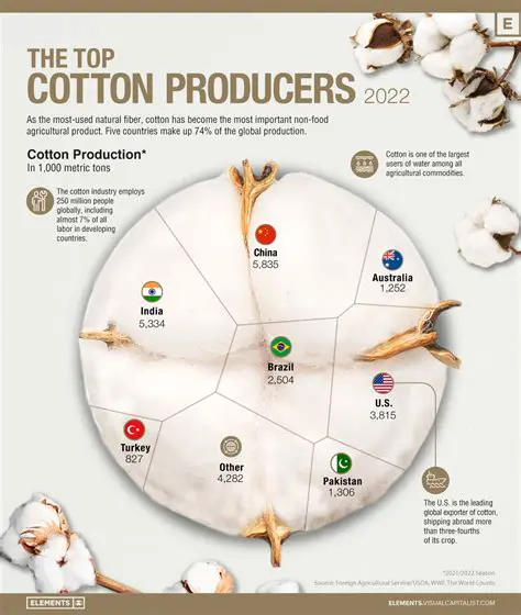 Invest in cotton production