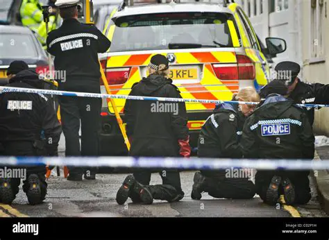 Investigate the Crime Scene