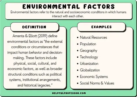 Investigating the impact of environmental factors on distribution patterns