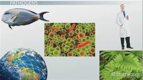 Investigating the Impact of Pathogens on Animal Populations