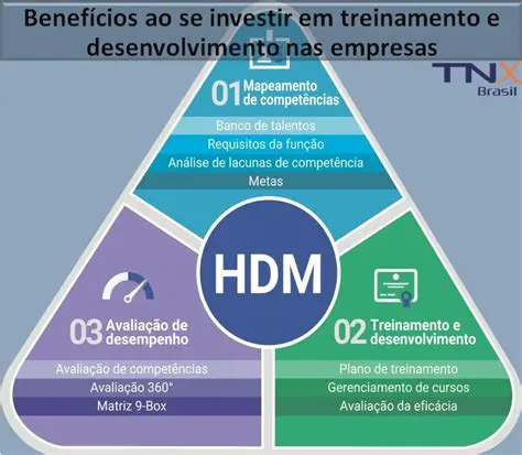 Investir em treinamento e suporte