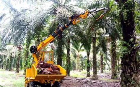 Investment in oil palm agriculture