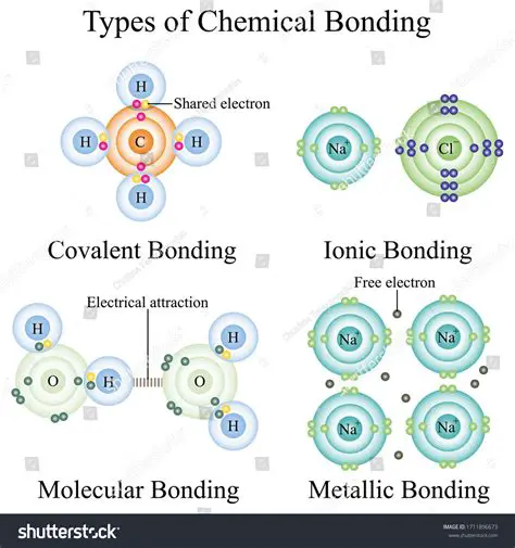 Involved in chemical bonding
