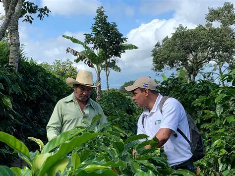 Unveiling the Enigma: IPSEOSCPSSISE SETHESESCSE and Its Far-Reaching Impact, As Reported by Lima News