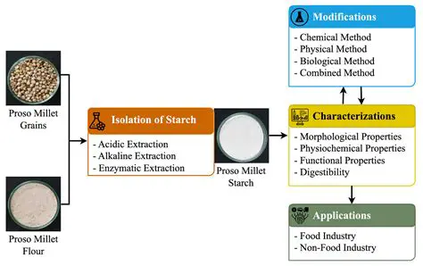 Isolation of Breadfruit Starch