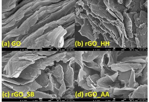 Isolation of Galactomanan from Arenga Pinnata