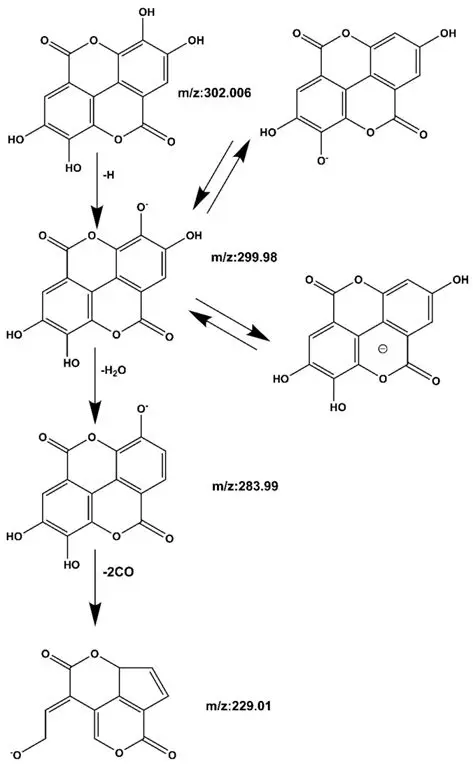 Isolation of Phenolic Compounds