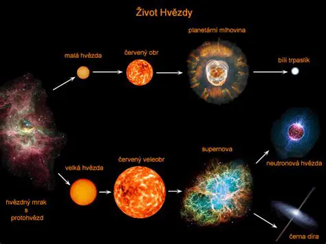 Jak Muradov Dobyl Slávu: Život a Kariéra MMA Hvězdy