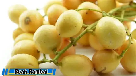 Jatuh sebiji buah masaknya