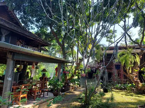 เจาะลึกโลกสมุนไพร: ประโยชน์, การใช้ และความรู้เบื้องต้น