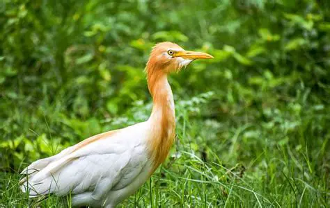 Jogue com amigos ou familiares