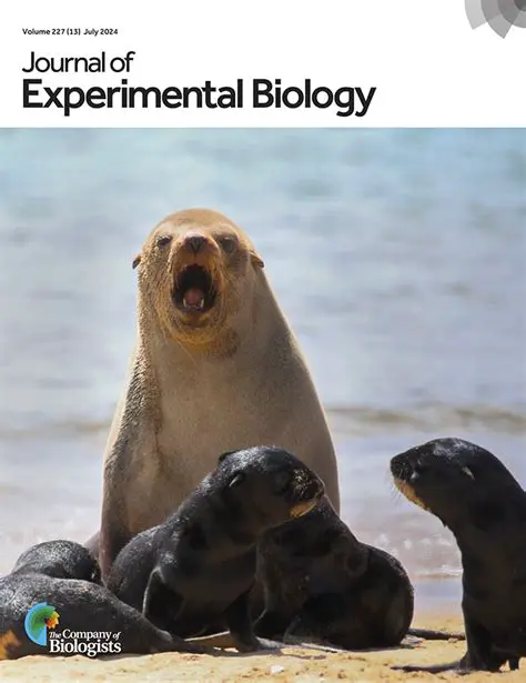 Journal of Experimental Biology