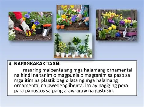 Kapangyarihan sa pagtatanim